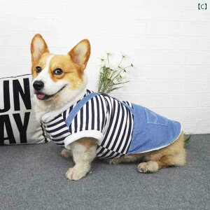 񂿂 ybg 킢   tH R[M[  ybg rV XgCv xXg 킢 ^  ^ pi