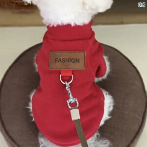 񂿂 ybg 킢 ybg   H~ gNV O t 킢 2024 ^ efB rV |jA t[XR[g