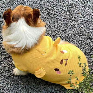 ybg  t 2024 R[M[ H~ ybg  ʂ xXg L l 킢  g rV efB