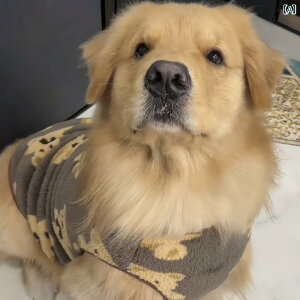 ybg  t {[_[R[  H~ N g  h~ nXL[ S[fgo[ uh[ ^  ^  RbgR[g