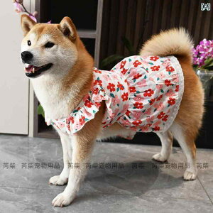 ybg  t ybg  L R[M[ efB Č  `FbN    I[V[Y TXy_[ XJ[g N[xXg