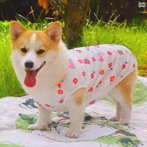 񂿂 ybg 킢 lbg R[M[ Č    ybg  XJ[g   xXg Ă ~  h~  h~