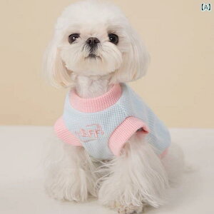 񂿂 ybg 킢 tH ybg q   ViEU[ }`[Y |jA efB rV ^ E h~