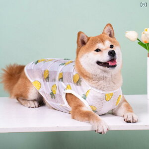 񂿂 ybg 킢   Ă Ăh~ ^ ʋC xXg  R[M[ efB q E  ybg