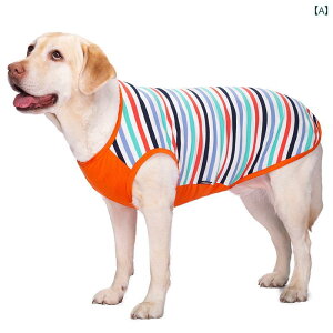 񂿂 ybg 킢 ^  ĕ  t X^C S[fgo[ Tc} ^  ybg q  xXg  Ă ~ 