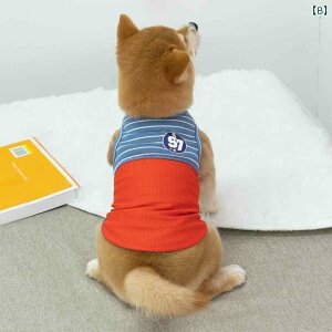 񂿂 ybg 킢 ėp  ʋC    Č R[M[ t` hD efB rV ViEU[ ^ ^ ^  ybg