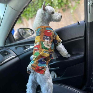 񂿂 ybg 킢 tH~  A[g OtBeB XEFbgVc efBLbg ViEU[ t`uhbO ^  ybg  rV