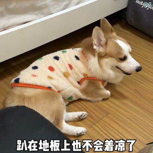 񂿂 ybg 킢 R[M[   H~ g 킢 ^ ^  Č t`uhbO S[fgo[ ʂ݂   Ƃ ł܂