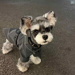 񂿂 ybg 킢 efBxA rVt[[ ViEU[ t`uhbO Lp H~ g ybg t@bV uh WPbg