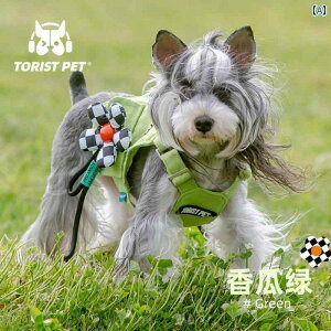 ybg  t TORIST PET   tHp ybg rV ViEU[ efB }`[Y  O xXg t