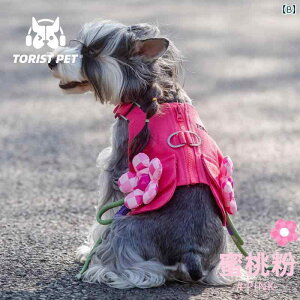 ybg  t TORIST PET   tHp ybg rV ViEU[ efB }`[Y  O xXg t