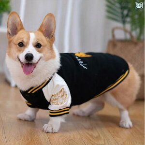 ybg  t   H~ uh 싅 jtH[ R[M[ ~ ybg Č q ^  rV t`uhbO