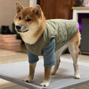 ybg  t NINKIN p xXg efB t`uhbO R[M[ Č q   q̓I  g H~