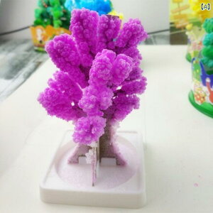  zr[  zr[  ؂  NX}X c[ @    DIY qp m  ߋ v[g