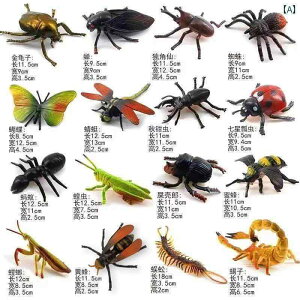  zr[  zr[ V~[V  ߋ ^ Zbg a v[g  g{ JugV ct 