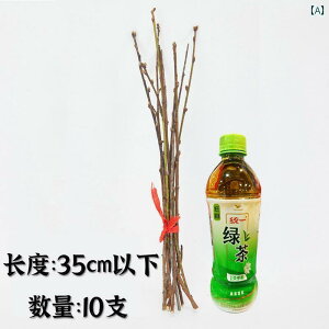  zr[  zr[  ؂ } Ԃ a@ މ@ V Ԃ [˖h~   ^E nEX ₩ } y_g