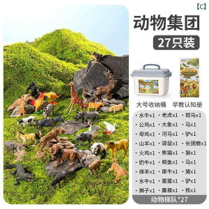  zr[  zr[ V~[V  q    Zbg Fm t t@[ [ {bNX t