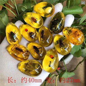 @@zr[  zr[  zr[    W{ q @ lÊw uCh {bNX ANZT[ w  y_g Mtg