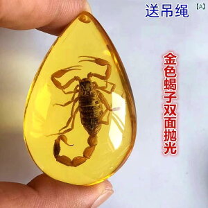  zr[  zr[   W{ wZ NX Ȋw  i  Jj y_g qւ 蕨