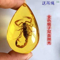 楽天市場】サソリ 琥珀の通販