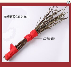 @@zr[ Õ   Ƃ S  쐶 } Ԃ Dw Ԃ | Ă }