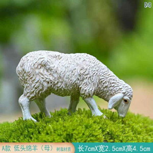 @@zr[ ~j r   A ~ bNK[f   }CN hXP[v V~[V 