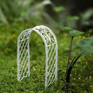 @G݁@zr[@   A }CN hXP[v K[fjO   ̏ i h[ nEX Ƌ S A[g Be  ~j A[`