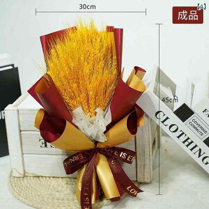 @zr[@G݁@i    ԑ ܏  N  唞 hCt[ LO i I[vjO Mtg 