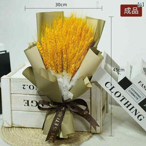 @zr[@G݁@i    ԑ ܏  N  唞 hCt[ LO i I[vjO Mtg 