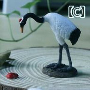 @zr[@G݁@i  ߂ V~[V  }CN i rO [  ~     H| T