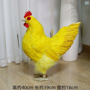 @zr[@G݁@i 傫 { ͌^ V~[V i ʐ^ Bep  H  tFCN {Ƃ K^