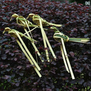 @zr[@G݁@i  | ҂݂ y   i   DIY 