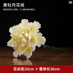 @G݁@i@  `  Y    O   nI  ԕr 