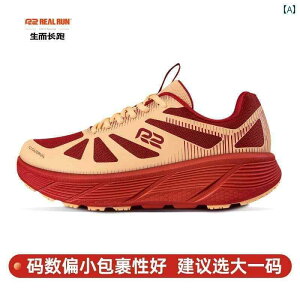 V[Y@jO@X|[c R 2 tbOVbv jO V[Y Yunpao EASY  NbV X|[c WMO GArNX ꒵ jp