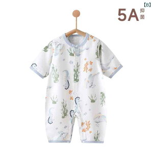 xr[@@Ԃ xr[ WvX[c ĕ      K[[ | @ 