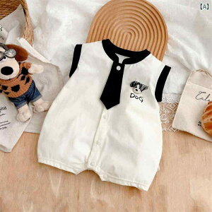 Ԃ@pW}@xr[ xr[  m[X[u xXg p[X   V  02 Ԃ