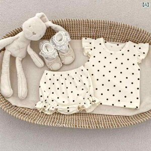 Ԃ@pW}@xr[ xr[     pc X[c Xvbg 1 6789 j̎q ̎q ĕ