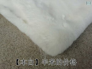 z@n@n@ 傫 є ʂ n 2 cm Í  tFCN bNX ETM ݂ C ʂ݂ n 