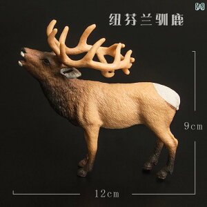 @zr[@ ͋[  j[t@hh giJC j bh fBA zCge[  vX`bN ő q  j̎q ̎q Mtg