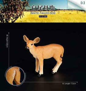 @zr[@ 쐶  V~[V  JVJ jz WJ giJC p n ő ÓI qp   Zbg