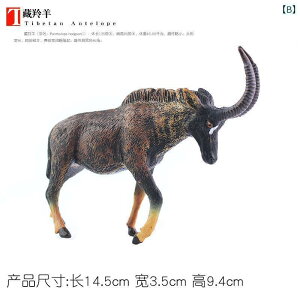 @zr[@ ͋[ 쐶  giJC  jz WJ NJ[ AJ VJ q Ȋw  Fm `xbg Ae[v