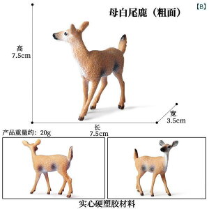 @zr[@ q ͋[ X  \bh wWJ j AJ VJ giJC IWWJ  NX}XI[ig