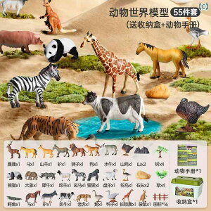 @zr[@ x  qp ͌^    Zbg Fm j̎q ߋ