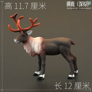 @zr[@ ő V~[V   쐶  NX}X wWJ giJC K[ Fm Mtg i