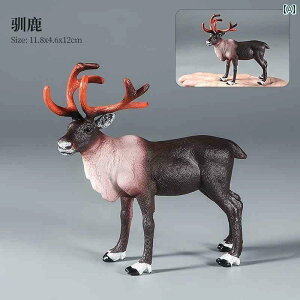 @zr[@ V~[V  X   wWJ giJC IWJ VJ q Fm NX}X 