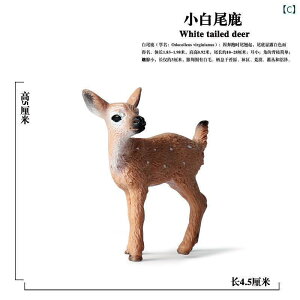 @zr[@ NX}X V~[V   IWWJ VJ giJC X AJ Mcl  Zbg