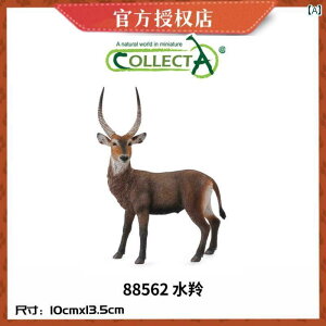 @zr[@   Collecta 쐶   V~[V L  JVJ