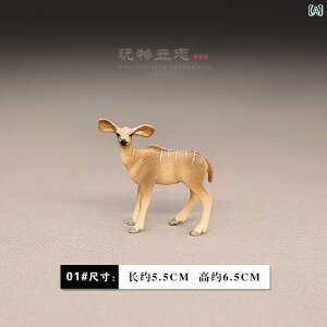 @@킢 qp Fm 쐶  ͌^ ߋ  JVJ AJ VJ giJC wWJ i