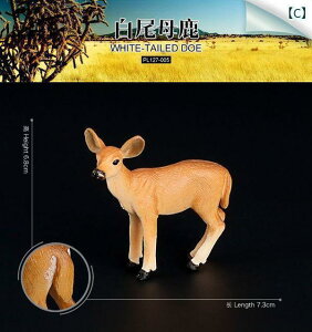 @@킢 쐶  V~[V l`  JVJ VJ giJC p n ÓI qp   i