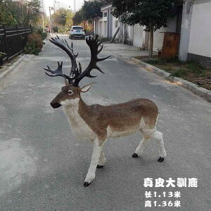 @@킢 V~[V giJC wWJ NX}X  jz WJ i є ^  l`